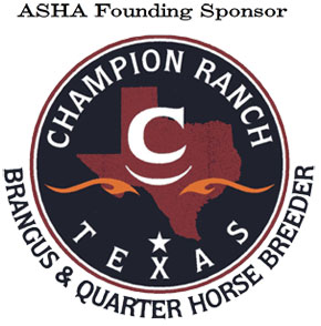 Founding Sponsor