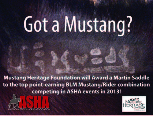 Mustang Notice.jpg