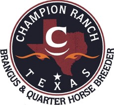 Champion Ranch
